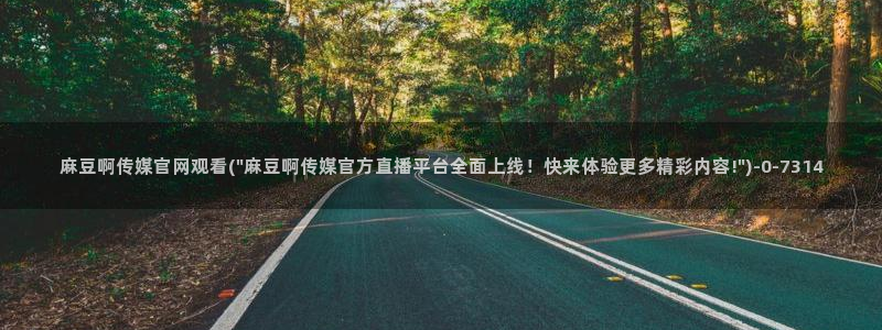 麻豆入门指南