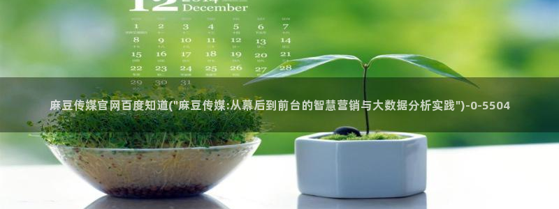麻豆视频站内文案