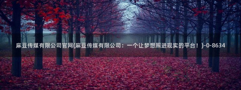 麻豆影视站：麻豆传媒有限公司官网(麻豆传媒有限公司：一个让梦想照进现实的