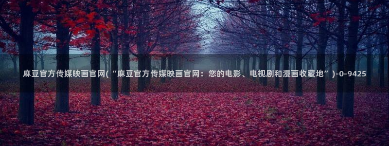 麻豆视频文章描述