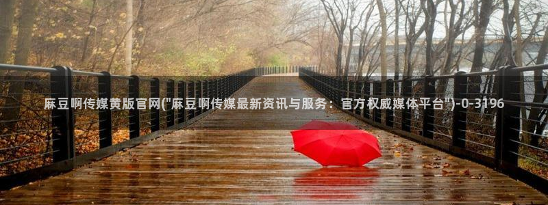 麻豆视频内容维护