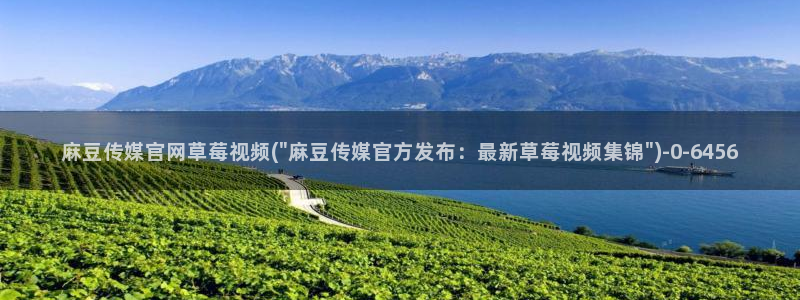 麻豆视频更新