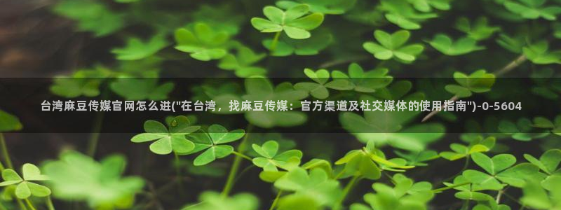 麻豆视频页面描述