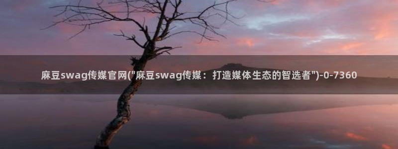 麻豆视频相关推荐
