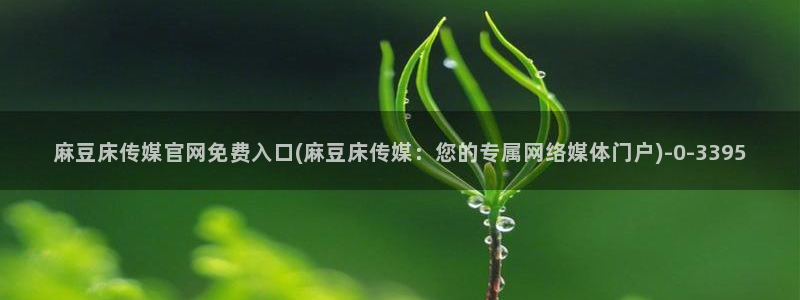 麻豆视频排名词