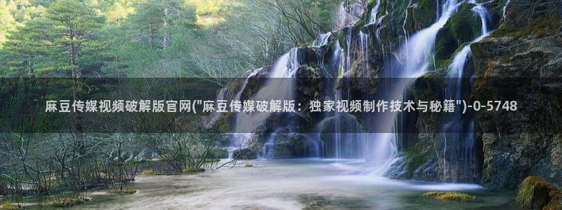 麻豆视频版权说明