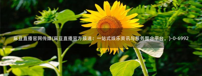 麻豆剧情页