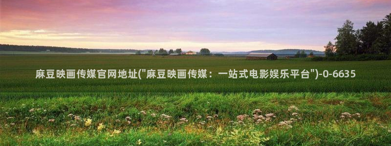 麻豆传媒精选