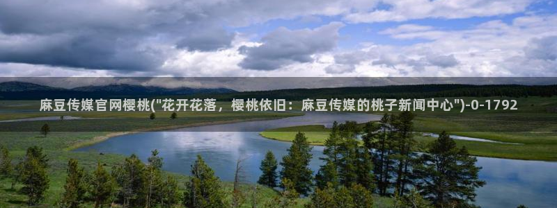 麻豆视频版权说明