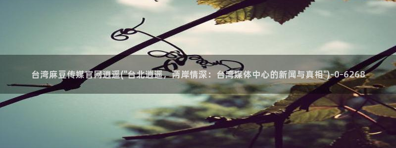 麻豆系列视频