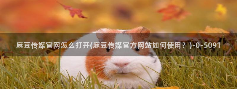 麻豆视频关于我们