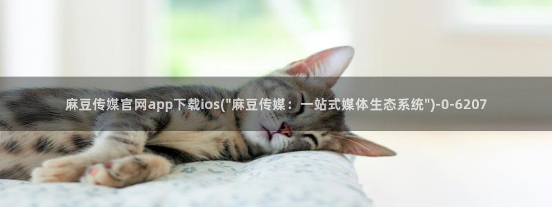 麻豆视频详情文案
