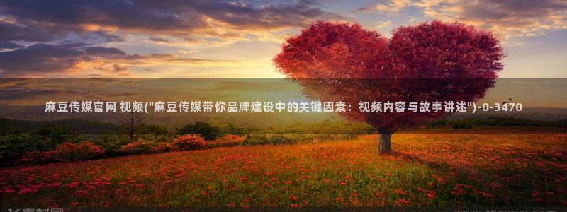 麻豆入门指南