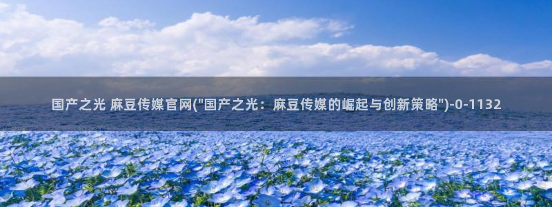 麻豆视频内容聚合