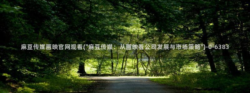 麻豆精选描述