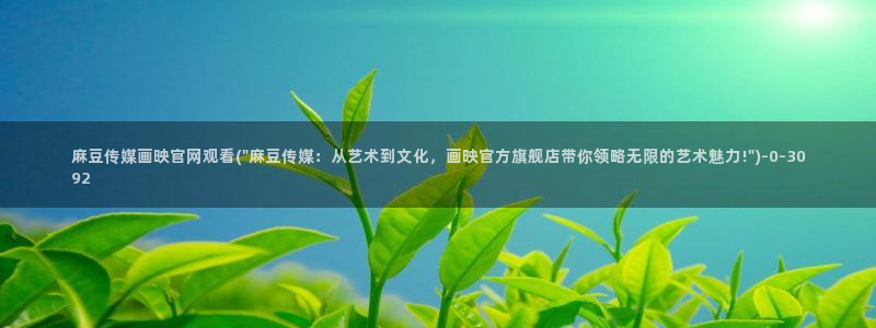 麻豆视频模板