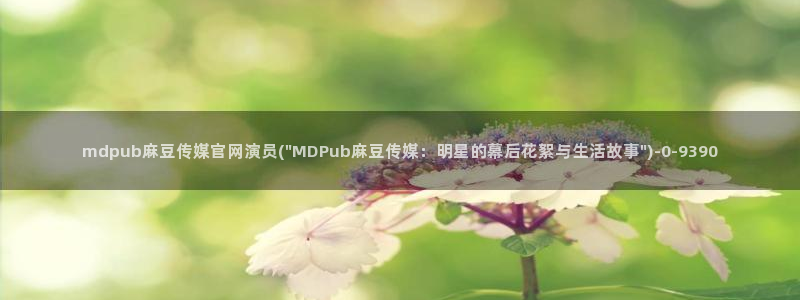 麻豆拍摄花絮