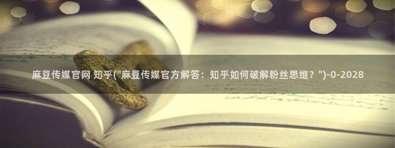 麻豆视频盘点