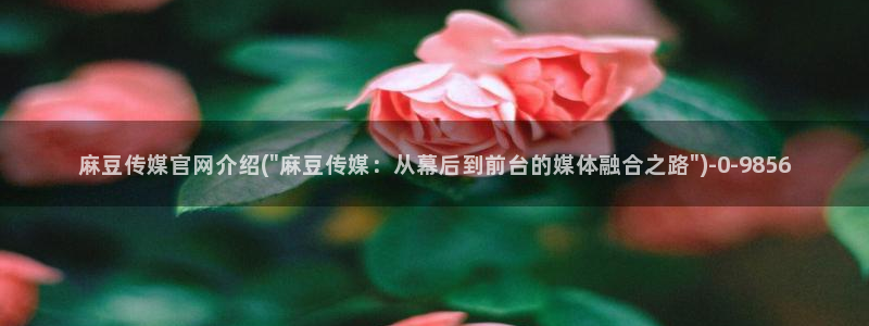 麻豆内容整理