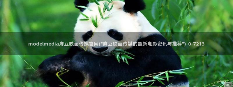 麻豆资源导航