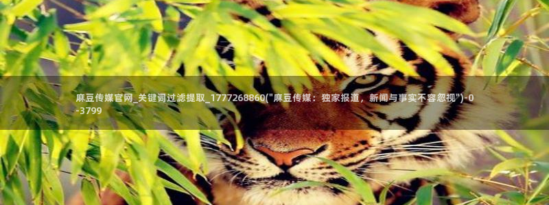 麻豆视频库