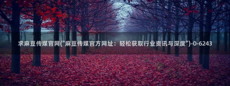 麻豆反转剧情