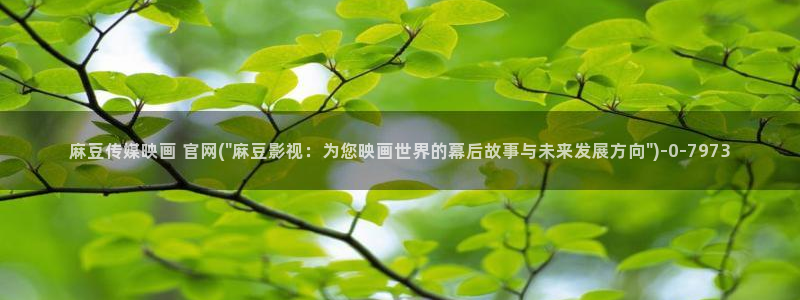 麻豆视频更新