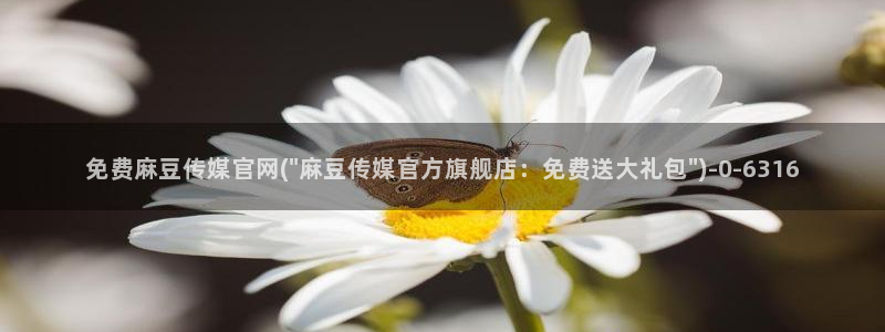 麻豆新片标题